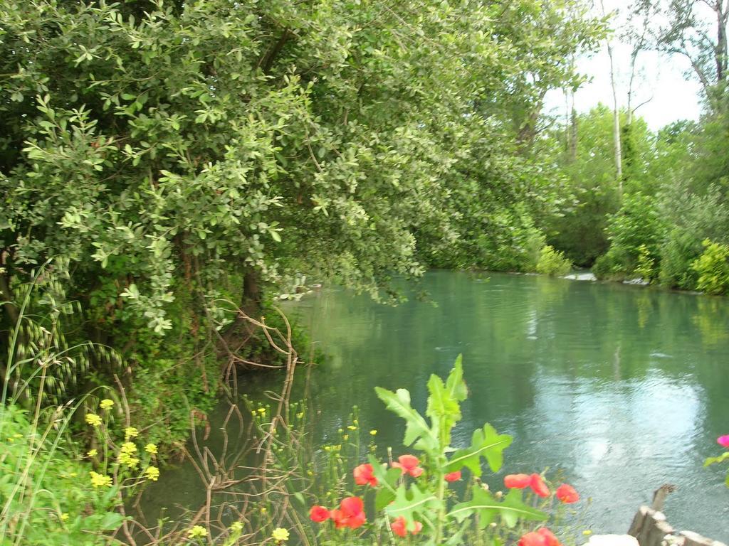 Maison Pres De L'Eau LʼIsle-sur-la-Sorgue Buitenkant foto